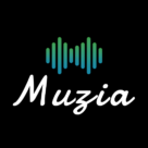 Muzia: Music on Display v1.3.7 MOD APK [Pro Unlocked]